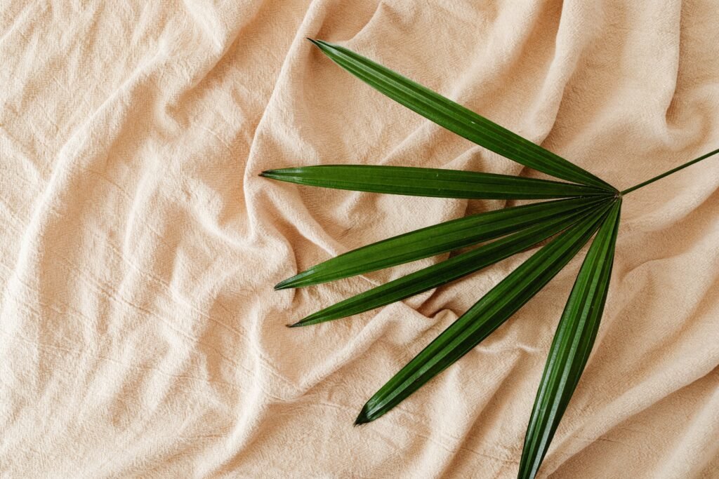 Feuille de palmier verte posée sur tissu beige froissé pour visuel RSE et lifestyle durable
